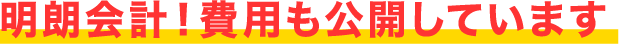 明朗会計!費用も公開しています